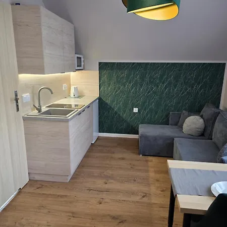 Pod Swierkami Apartment