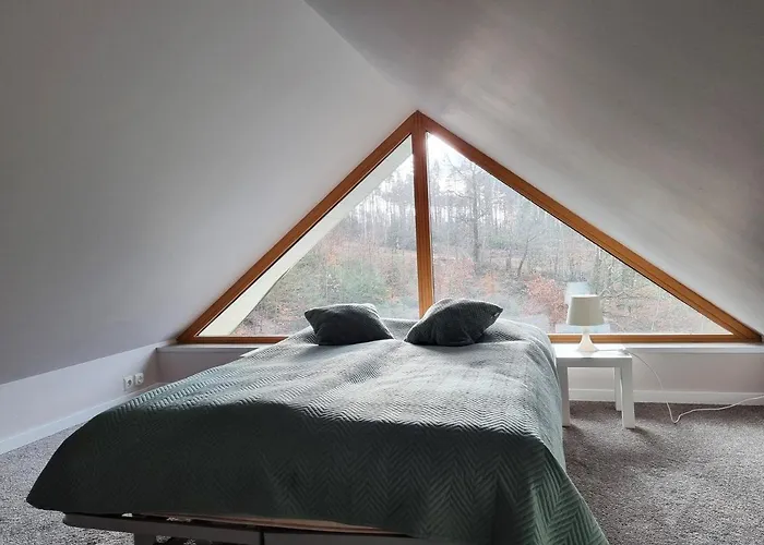 Pod Swierkami Apartment Kudowa Zdroj